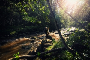 Puromaisema äiti ja lapsi