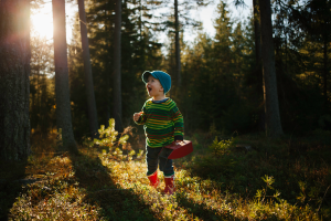 Lapsi metsässä poimimassa marjoja.