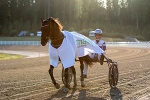 Ravihevonen jo ohjastaja